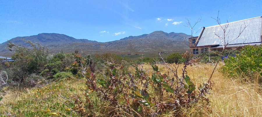 0 Bedroom Property for Sale in Pringle Bay Western Cape